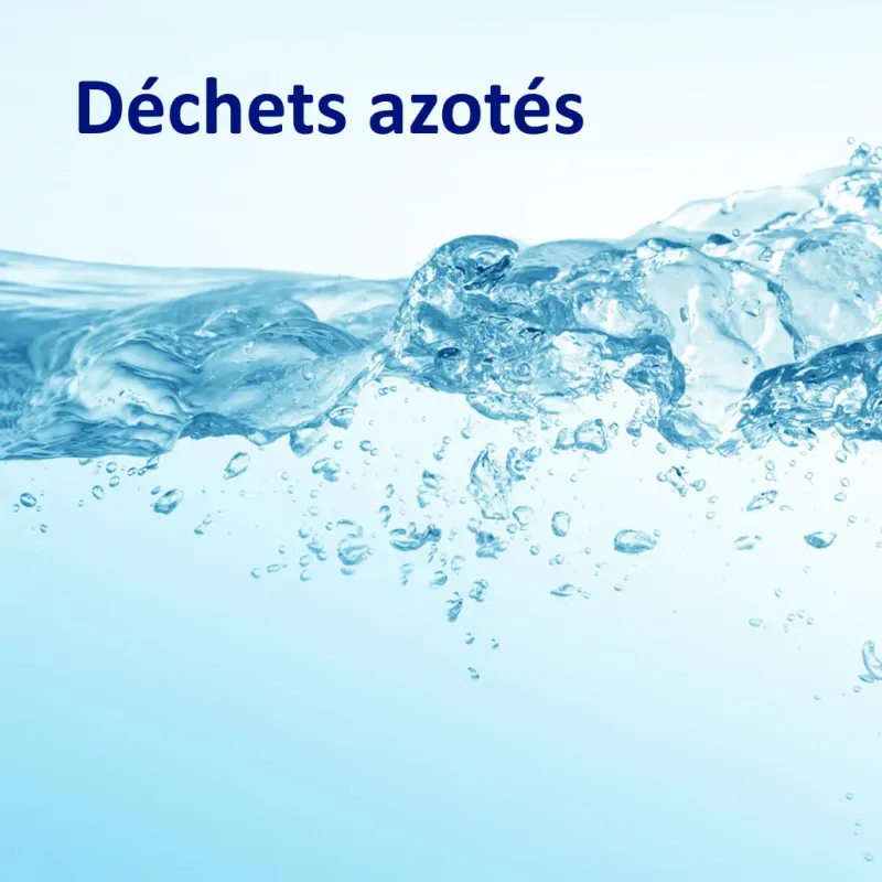 Analyses d'eau douce (déchets azotés)