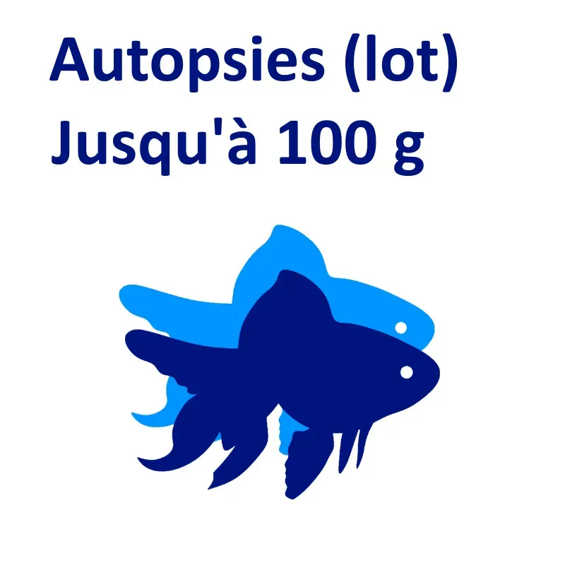 Autopsies jusqu'à 100 g (lot) Autopsies jusqu'à 100 g (lot)
