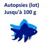 Autopsies jusqu'à 100 g (lot)