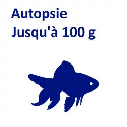 Autopsie jusqu'à 100 g