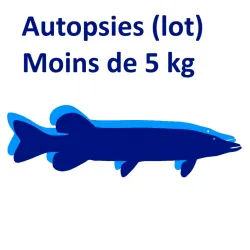 Autopsies moins de 5 kg (lot)